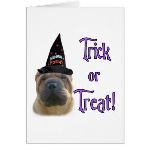 Chinesischer Shar-Pei-Trick