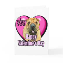 Chinesischer Shar-Pei-Valentinstag