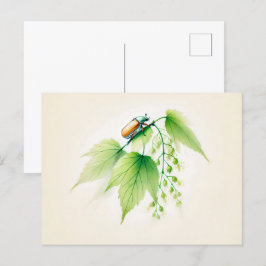 Chinesischer Tinte May Bug auf Linden Postkarte