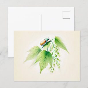 Chinesischer Tinte May Bug auf Linden Postkarte