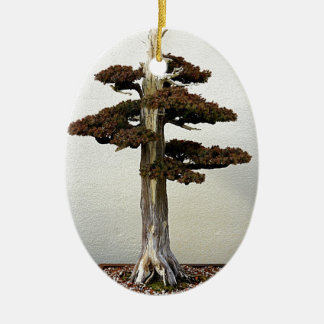 Chinesischer Wacholderbusch-Bonsais-Baum Keramikornament