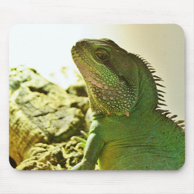 Chinesischer Wasser-Drache Mousepad (Vorne)