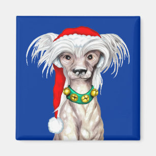 Chinesischer Weihnachtsmann Magnet