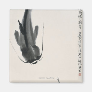 Chinesischer Wels Magnet