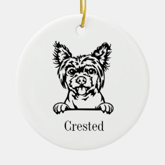 Chinesischer Zierhund Keramik Ornament
