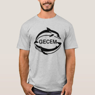 Chinesisches graues T-Shirt