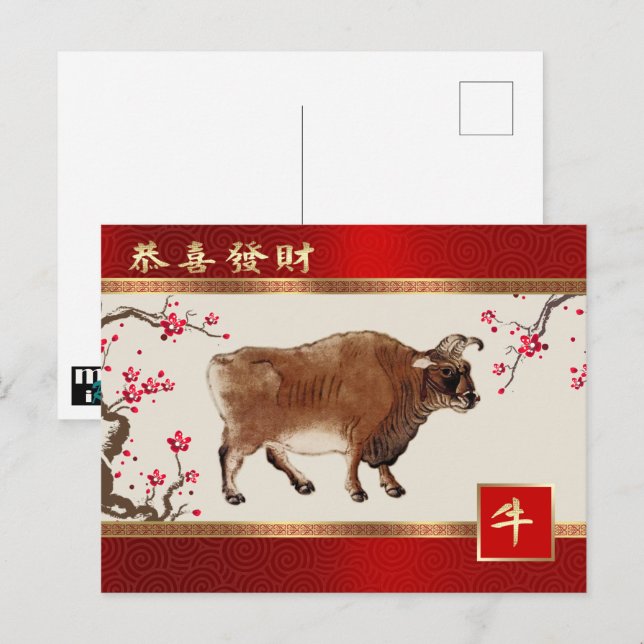 Chinesisches Jahr der Ox-Postkarte in chinesischer Postkarte (Vorne/Hinten)
