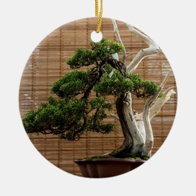 Chinesisches Juniper Bonsai Tree Foto Keramik Ornament (Vorne)