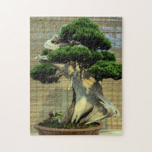 Chinesisches Juniper Bonsai Tree Foto Puzzle