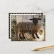 chinesisches neues Jahr der hölzernen Schafe 2015 Feiertagspostkarte (Vorderseite/Rückseite Beispiel)