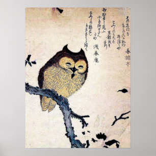 Chinesisches Owl Print Poster