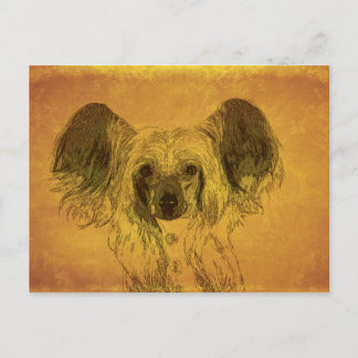 Chinesisches Portrait, gelb Postkarte