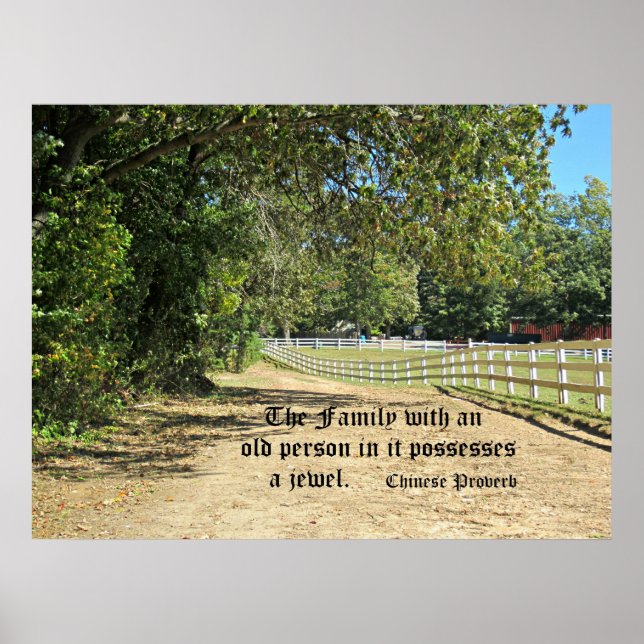 Chinesisches Sprichwort über den Wert älterer Mens Poster (Vorne)