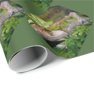 Chinesisches Wrapper-Papier für Wasserdrachen Geschenkpapier