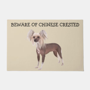 Chinesisches Zeckenhühnerhaus Fußmatte