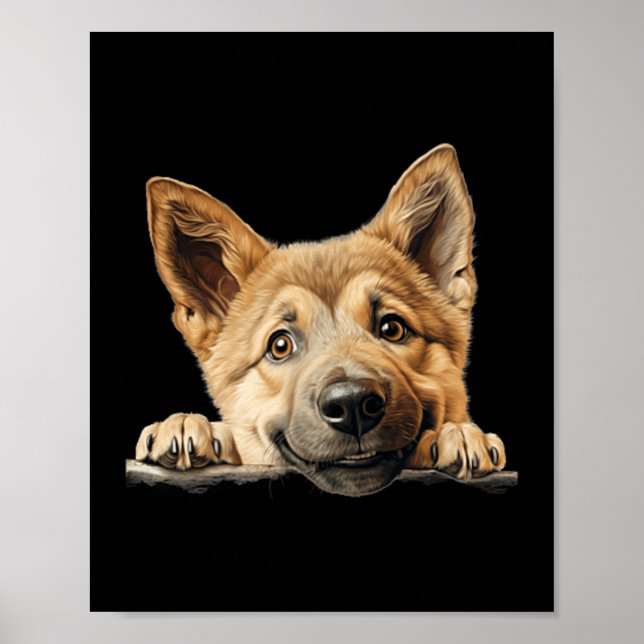 Chinook Hund Mutter Vater spähender Welpe Poster (Vorne)