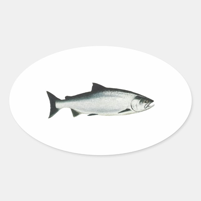 Chinook - King Salmon Ovaler Aufkleber (Vorderseite)