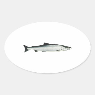 Chinook - King Salmon Ovaler Aufkleber