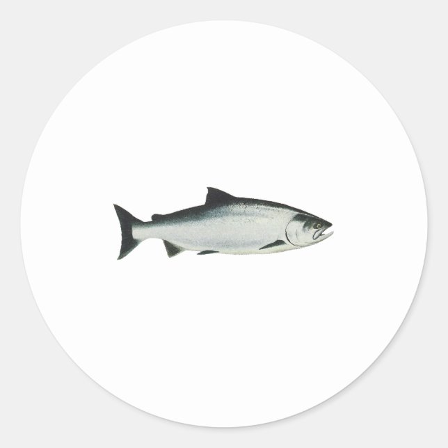 Chinook - King Salmon Runder Aufkleber (Vorderseite)
