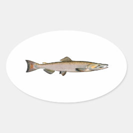 Chinook - König Lachs (Laichphase) Ovaler Aufkleber