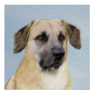 Chinook (Tropfohren) Gemälde - Original Hundkunst Poster