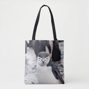 CHINSTRAP PENGUIN