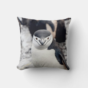 CHINSTRAP PENGUIN KISSEN