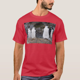 Chinstrap Penguins Aerobics Workout T-Shirt
