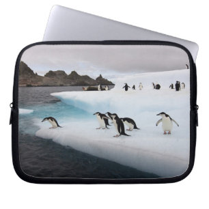 Chinstrap Penguins Laptopschutzhülle