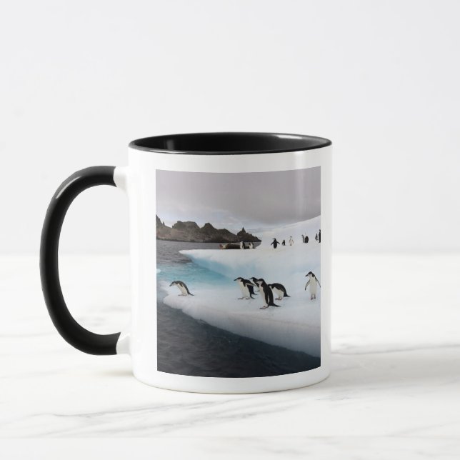 Chinstrap Penguins Tasse (Links)