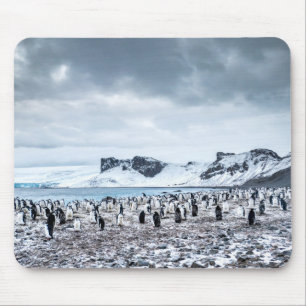 Chinstrap Pinguin-Kolonien-Landschaft Mousepad