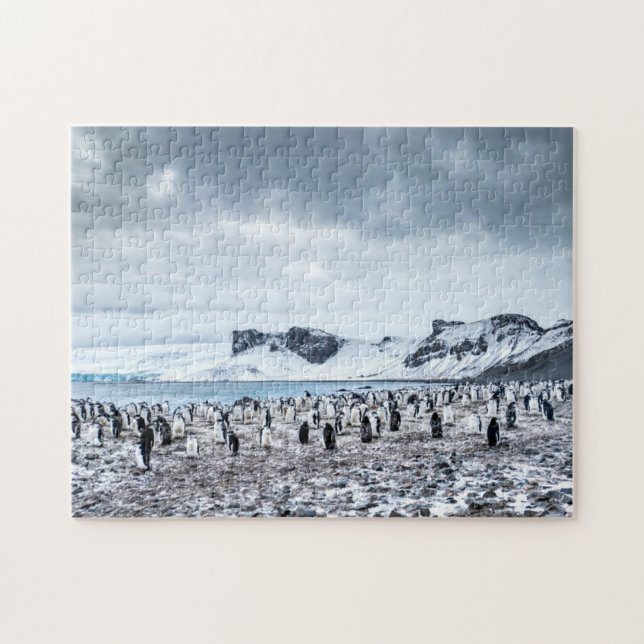 Chinstrap Pinguin-Kolonien-Landschaft Puzzle (Horizontal)