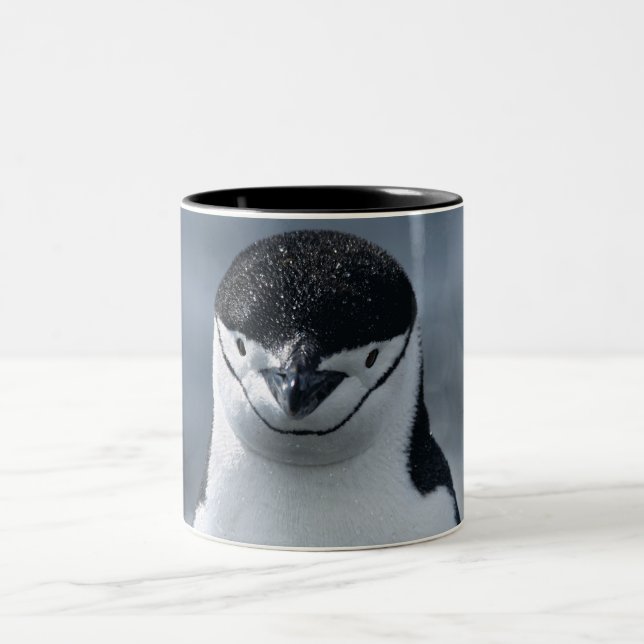 Chinstrap Pinguin Zweifarbige Tasse (Mittel)