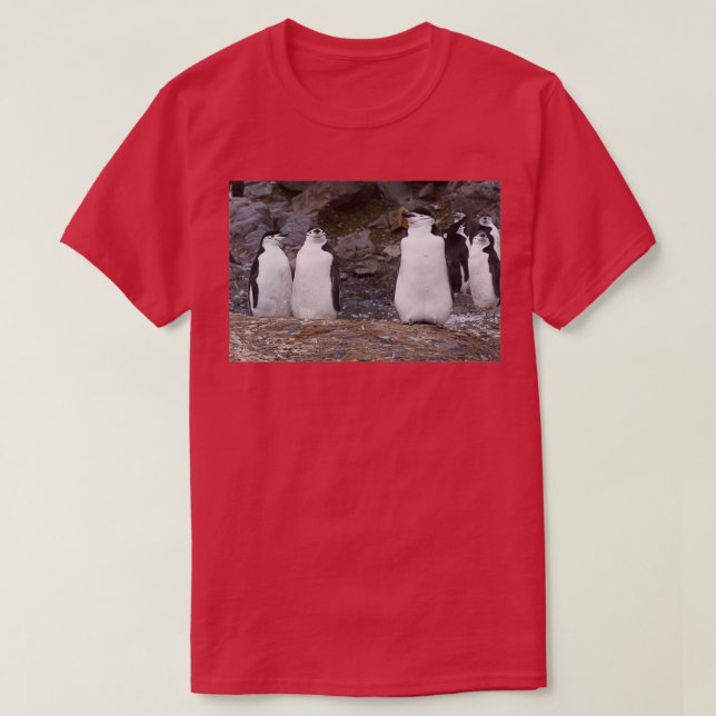 Chinstrap Pinguine Aerobics Workout T-Shirt (Design vorne)