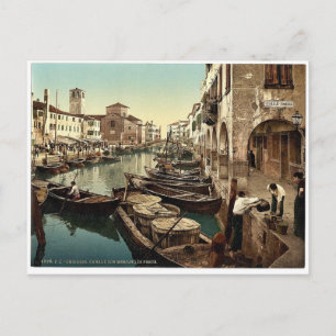 Chioggia, Fischmarkt, Venedig, Italien Vintage-Fot Postkarte