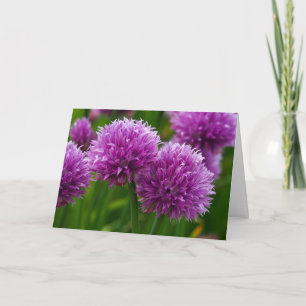 Chip Blume 'So Sorry' Card Karte