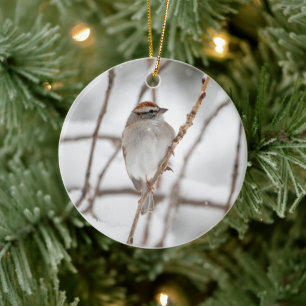 Chip-Spargel  Keramik Ornament
