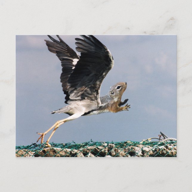 Chipheron Postkarte (Vorderseite)