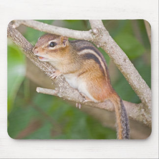 Chipmonk Mousepad