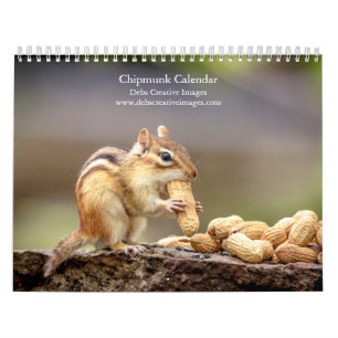 Chipmunk 2025 kalender