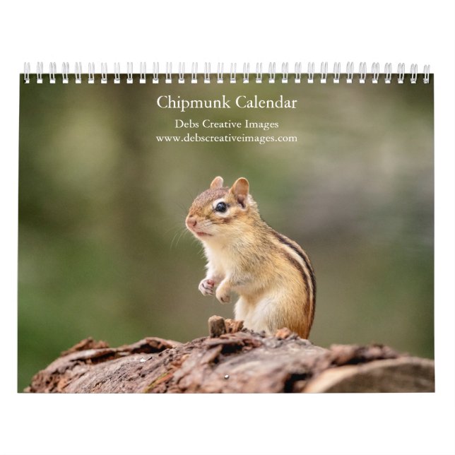 Chipmunk 2026 kalender (Titelbild)
