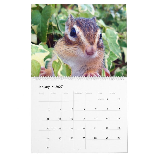 chipmunk  (All country) Kalender (Jan 2027)