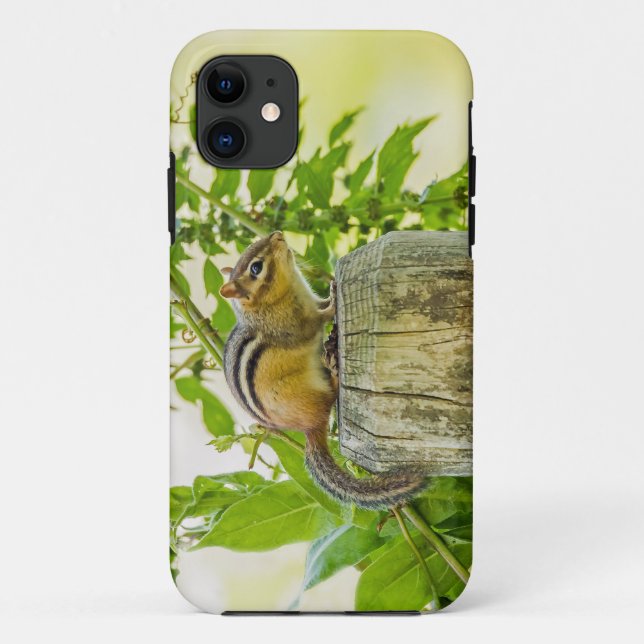 Chipmunk an einem Zaun Case-Mate iPhone Hülle (Rückseite)