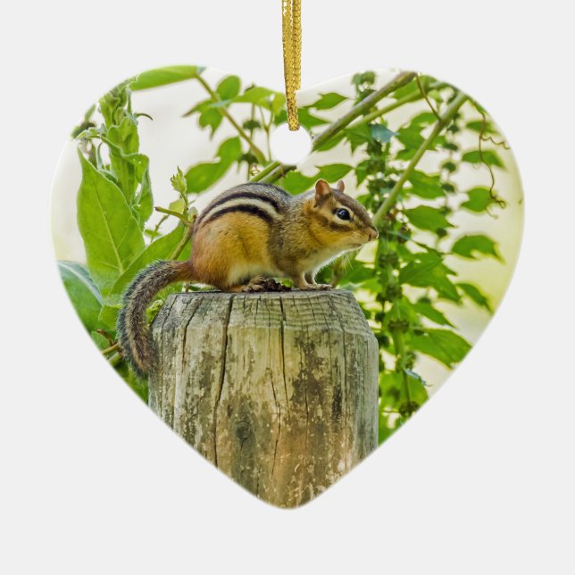 Chipmunk an einem Zaun Keramik Ornament (Vorne)