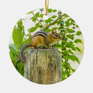 Chipmunk an einem Zaun Keramik Ornament
