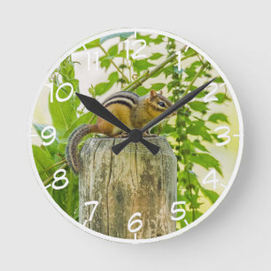 Chipmunk auf einem Zaun-Posten Runde Wanduhr