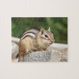 Chipmunk auf Stein Puzzle