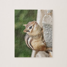 Chipmunk auf Stein Puzzle