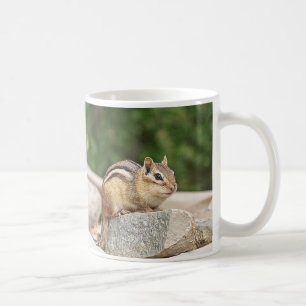 Chipmunk auf Stein Tasse
