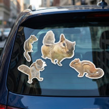 Chipmunk-Aufkleber-Pack
